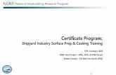 Surface Preparation & Coatings (SP&C) Panel 2020 Update