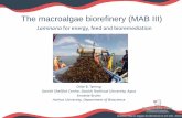 The macroalgae biorefinery (MAB III) - AlgeCenter Danmark