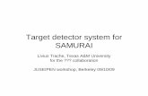 Target detector system for SAMURAI