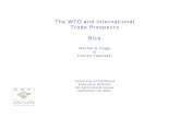 The WTO and International Trade Prospects Rice