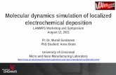 Molecular dynamics simulation of localized electrochemical ...