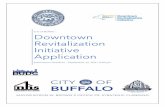 Downtown Revitalization Initiative Application