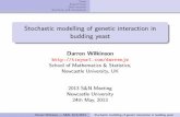 Stochastic modelling of genetic interaction in budding yeast