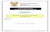 SENIOR CERTIFICATE/ NATIONAL SENIOR ... - education.gov.za