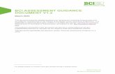 BCI ASSESSMENT GUIDANCE DOCUMENT V1