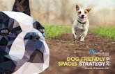 Dog Friendly 2019 SPACES STRATEGY - Shellharbour Council