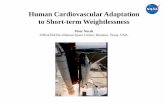 Human Cardiovascular Adaptation to Short-term Weightlessness