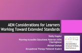 AEM Considerations for Learners Working Toward Extended ...