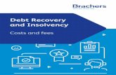 Debt Recovery and Insolvency