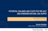 POTENTIAL VOLUMES AND COSTS FOR PRE-SALT AND ONSHORE ...