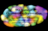 The Game of Chromosome Organization