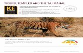 TIGERS, TEMPLES AND THE TAJ MAHAL