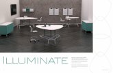 Illuminate - Surfacetech