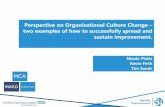 Perspective on Organisational Culture Change – two ...