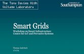 Smart Grids - Centre for IoT and Pervasive Systems