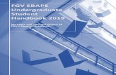 FGV EBAPE Undergraduate Student