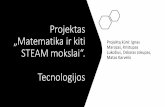 Projektas „Matematika ir kiti Projektąkūrė: Ignas STEAM ...