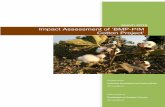 March 2016 Impact Assessment of ‘BMP-PIM Cotton Project’