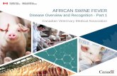 AFRICAN SWINE FEVER - Canadian veterinarians