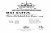D ESIGNED TO L EAD BSI Series - Velocity Boiler Works