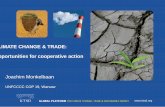 CLIMATE CHANGE & TRADE: Opportunities for cooperative action