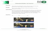 Abdominal Hollow In Neutral - Golf Fitness Training ...