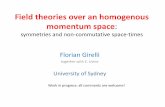 Field theories over an homogenous momentum space: symmetries