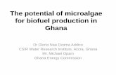 The potential of microalgae for biofuel production in Ghana