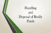 Handling and Disposal of Bodily Fluids