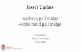 Insect Update -soybean gall midge -white mold gall midge