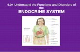 The Endocrine System - abss.k12.nc.us