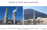 Specifics of nuclear power engineering - TPU