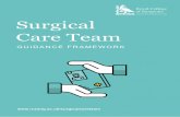 Surgical Care Team