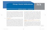 Deep Neck Infections 55