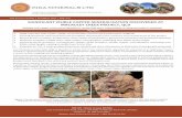 SIGNIFICANT VISIBLE COPPER MINERALISATION DISCOVERED …