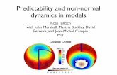 Predictability and non-normal dynamics in models
