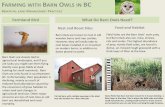 ARMING WITH BARN WLS IN - BarnOwlsBC