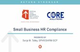 Small Business HR Compliance