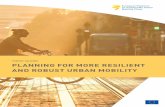 TOPIC GUIDE: PLANNING FOR MORE RESILIENT AND ROBUST …