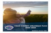 YOLO COUNTY STRATEGIC PLAN 2020-2025