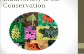 Conservation Biodiversity & Its