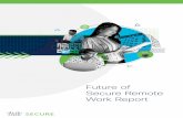 Future of Secure Remote Work Report - Cisco