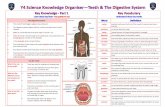 The Digestive System • The smell of food triggers