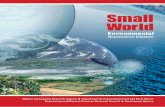 Small World Environmental Nanoscience Initiative