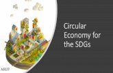 Circular Economy for the SDGs - Un