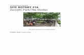 SITE REPORT #1A Zuccotti Park/The Oculus