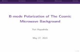 B-mode Polarization of The Cosmic Microwave Background