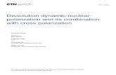 Dissolution Dynamic-Nuclear-Polarization and its ...