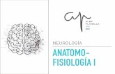 NEUROLOGÍA ANATOMO- FISIOLOGÍA I