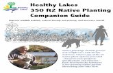 Healthy Lakes 350 ft2 Native Planting Companion Guide